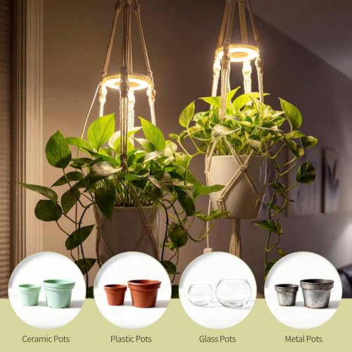 Hanging Plant Grow Lights for Indoor Plants with Timer - size: 1 Pack