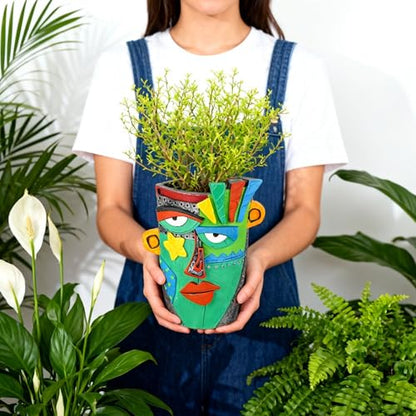 Abstract Face Planter Pot - 8inch Picasso Style Unique Plant Pots - color: Green