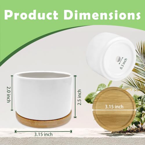 Motivational Funny Planter Pots, Life is Short Make It Sweet Ceramic Succulent Plant Flower Planters(No Plants) - color: Style 02
