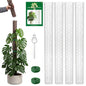 4 Pack 24 Inch,Self Watering Plastic Moss Pole for Monstera - size: 4-pack - 24 inches - with watering can