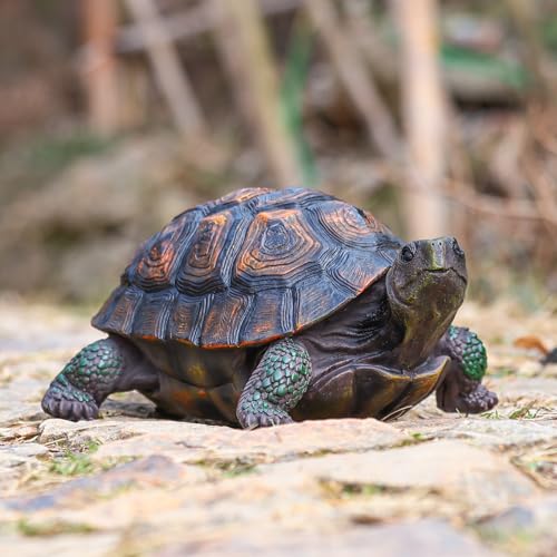 Tortoise Turtle Statue,Resin Garden Sculpture Indoor/Outdoor Yard Lawn Ornament,Home Decor (Large) - size: Large