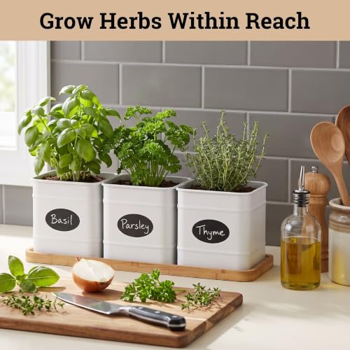 Herb Planter Indoor, 3-pc Herb Pots w/ Drainage Holes, Bamboo Tray & Labels - color: White
