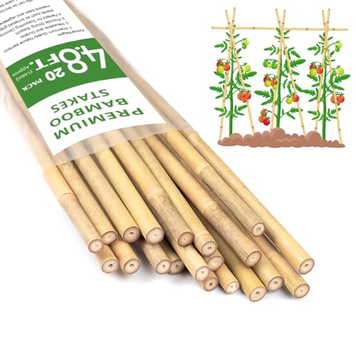 Plant Stakes 4.8FT, Natural Bamboo Stakes,20Pcs Sturdy Bamboo Garden Stakes - size: 4.8Ft, 20Pack