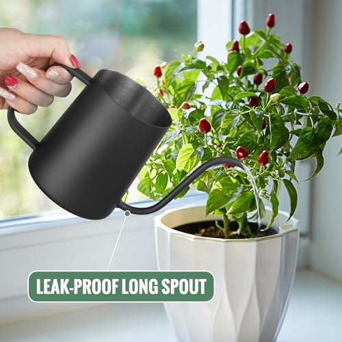 Small Watering Can Indoor Plants 20 OZ Mini Metal Watering Can Leakproof - color: Black 600