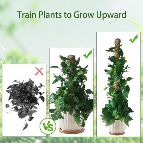 Moss Pole Monstera Plant Support: 4 Pack 16 inch Stackable Coco Coir - size: 4-pack