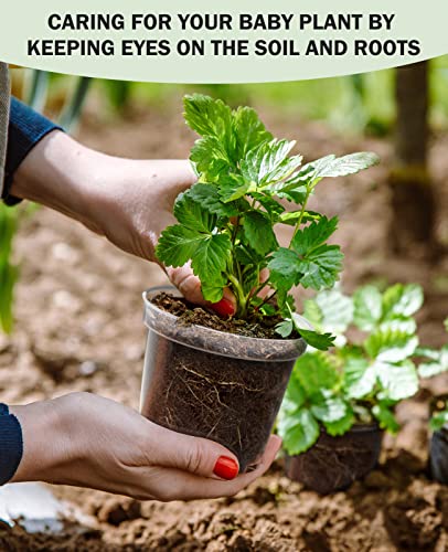 homenote 4 Inch Clear Nursery Pots for Plants with 20 Plant Labels (60 Pcs) - color: Transparency-no Lid, size: 4 Inch-60 Pack