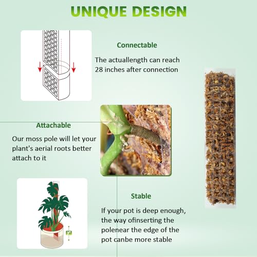 EOX Plastic Moss Pole Kit for Monstera, 15-Inch, 4-Pack, 5.3oz Moss