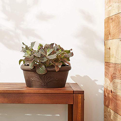Arcadia Garden Products PSW TA20C Plastic/Stone/Wood Composite Bulb Pan – No Drainage Hole (Drillable), 8"x3", Chocolate - color: Chocolate, size: 8"x3"
