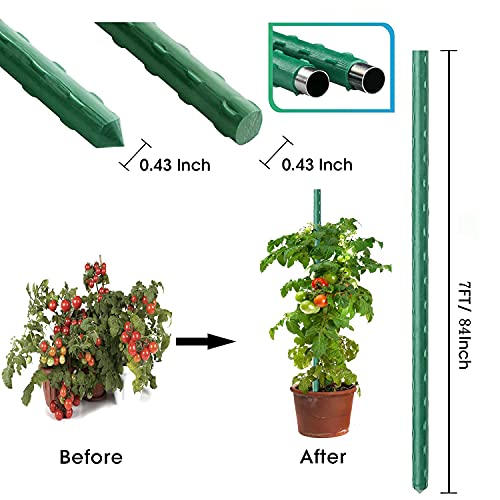 7Feet Garden Stakes Sturdy Plant Sticks Support Tomato Stakes for Vegetable Pack of 20 - size: 7Ft-20 Pcs