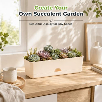 6 Pack Rectangle Planter 16x4.4 Inch Window Boxes Planters Rectangular Large Window Sill Planters Indoor Self Watering Plant Pots with Drainage Holes and Saucers Succulent Herb Flower Pots, Beige - color: Beige