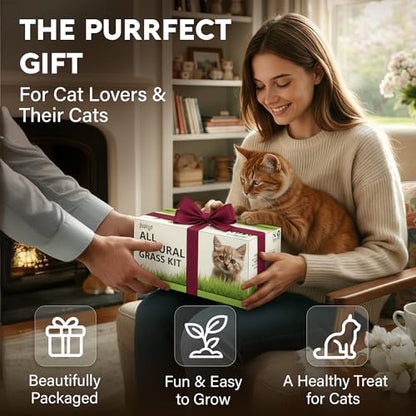 Cat Grass Kit for Indoor Cats – x4 Seed Packets