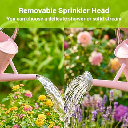 1 Gallon Watering Can for Outdoor&Indoor Plants，Pink - color: Pink