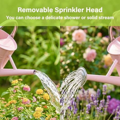 1 Gallon Watering Can for Outdoor&Indoor Plants，Pink - color: Pink