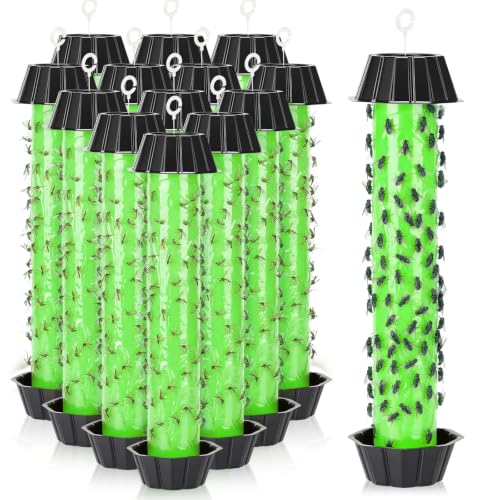 12 Pcs Fly Traps for Indoor Outdoor Hanging Fruit Fly Stick Trap Sticky Mosquito for Home Insect 10 x 2.5 Inches (Classic,Green and Black) - color: Green and Black, size: Classic