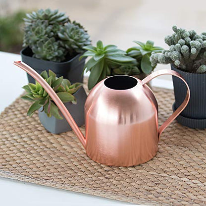 Rose Gold Watering Can for Indoor Plants, 450ml/15oz - size: Rose Gold 15 oz