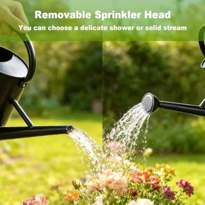 Watering Can for Outdoor&Indoor Plants，1.5 Gallon，Black - color: Black