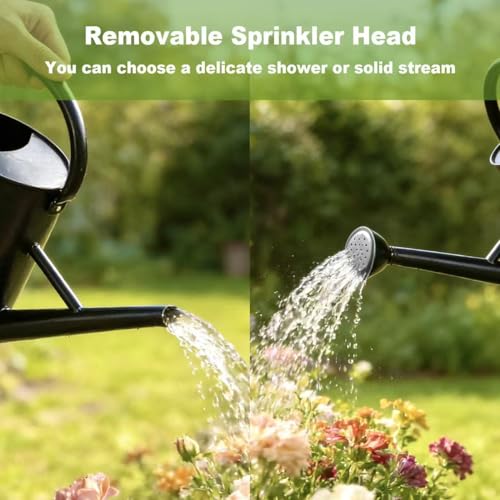 Watering Can for Outdoor&Indoor Plants，1.5 Gallon，Black - color: Black
