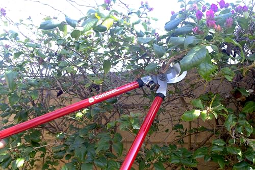 Corona SL 3310 Bypass Lopper, 24" Steel Handles, 1-1/2" Cut