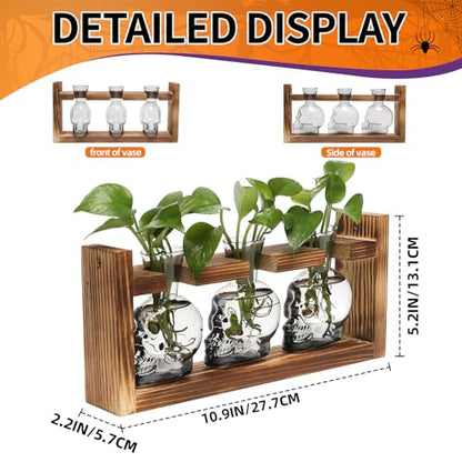 Plant Terrarium Propagation Stations Skull Planter Vase Skulls Decor - color: Grey