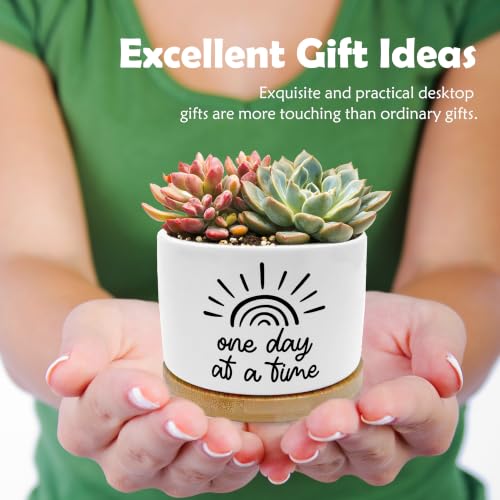 Inspirational Mental Health Planter Pots, One Day at a Time Affirmation Ceramic Succulent Plant Flower Planters(No Plants) - color: Style 03