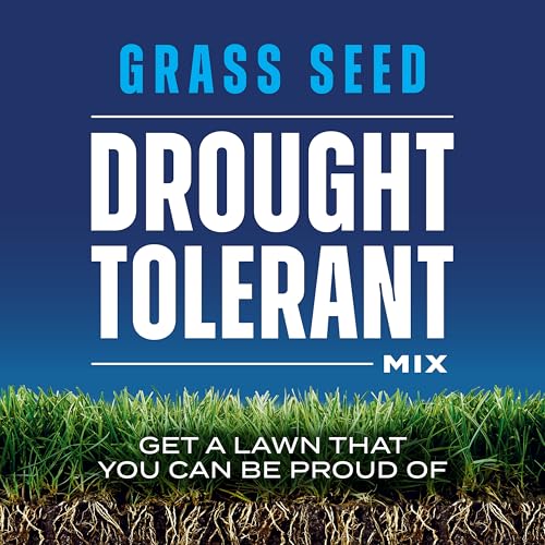 Scotts Grass Seed Drought Tolerant Mix, 10 lbs. - size: 10 lb.