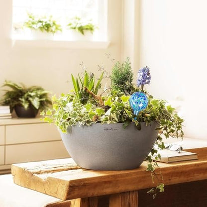 Plant Watering Globes Set of 6, Small - Glass Self Watering Globes - style: Set of 6 Small