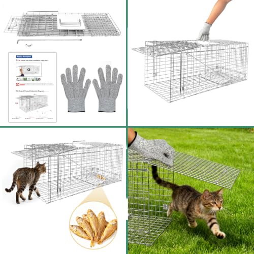 Humane Live Animal Trap Cage 32" × 13" × 11",Heavy-Duty Live Catch Cage for Raccoon, Squirrel, Stray Cats, Groundhogs, Armadillos, Opossums, Rabbits, Skunk, Mole, Small Wildlife Control - size: 32"×13"×11"