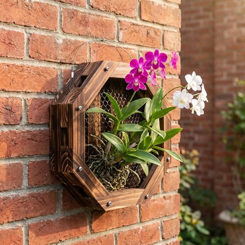 Staghorn Fern Mounting Kit - Wood Wall Planter for Orchids,Herbs & Indoor Plants | Hanging Plant Holder,Basket & Stand for Wall Decor (12.59inch) - size: 12.59inch