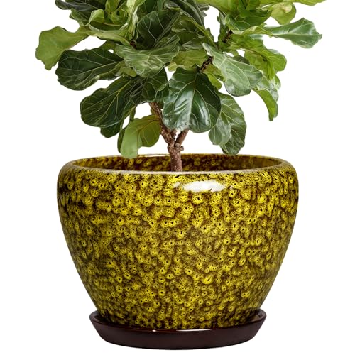 10 Inch Ceramic Pots for Plants, Indoor Plant Pot, Yellow Leopard - color: Yellow Leopard, size: 10 Inch