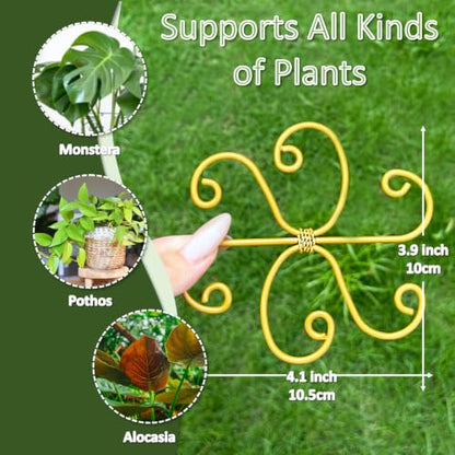 5PCS Plant Stem Support Rings for Monstera & Indoor Plants, 4.1 x 3.9 in Metal Plant Stem Holder