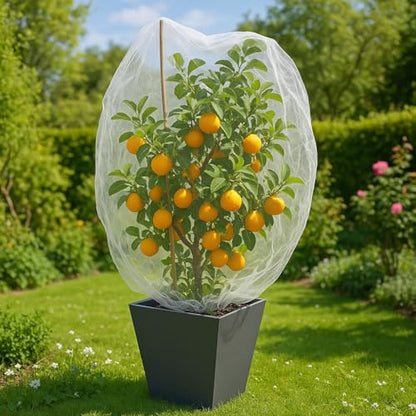 Fruit Tree Protection Bags 4.5x6 FT | Pack of 4 Garden & Insect Netting - size: 4.5 x 6.0 FT