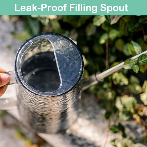Long Spout Watering Can Indoor Plants, Small Watering Cans for House Plants, Flowers, Succulents 34oz - color: Gray