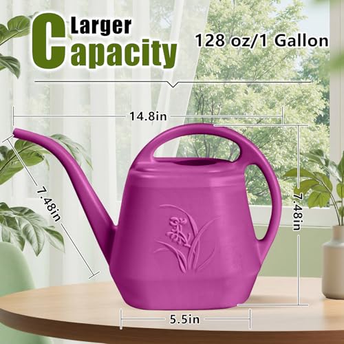 Plant Watering Can - 1/2 Gallon - Rose Red - color: Rose Red