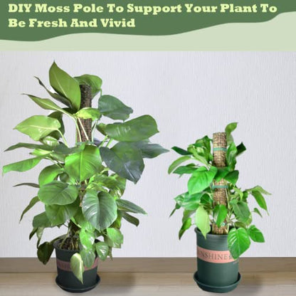 Moss Pole DIY Kit, 13.2ft Metal Moss Pole for Plants Monstera, 4Pcs 8.3in×3.3ft Steel Wire Mesh with Cable Ties, Max Make 7Pcs 23" Sphagnum Moss Pole (13.2FT Wire Mesh Without Plier) - color: 13.2FT wire mesh without plier