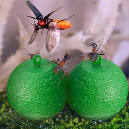 Qualirey 10 Pcs Sticky Fruit Fly Trap Ball Adhesive Fly Catching Ball Sticky Glue Fly Gnat Wasp Hornet Mosquito Bugs Flying Insects Trap Ball Traps (Green) - color: Green, size: Flat Top