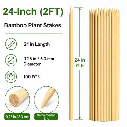 100 PCS 2FT Bamboo Plant Stakes, 6.3mm Thick Bamboo Stakes - size: 24 inch 6.3mm