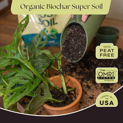 Rosy Soil Aroid Soil Mix, Chunky Biochar Potting Mix, 4 Quarts - color: Aroid, size: 4 Quarts