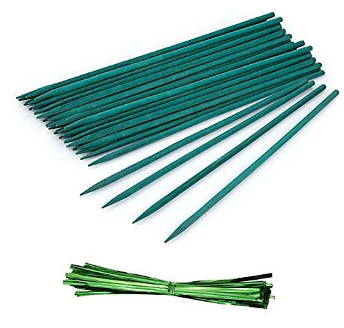 50 Pcs 15 inches Green Garden Plant Stakes,Bamboo Sticks for Supporting Plants,Garden Sticks for Supporting Orchids Flower Seedling with Extra 100 Pcs Twist Ties - size: 50PCS 15inch