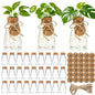 Ysglory 30 Pack Plant Propagation Stations 3.35" Plastic Vases