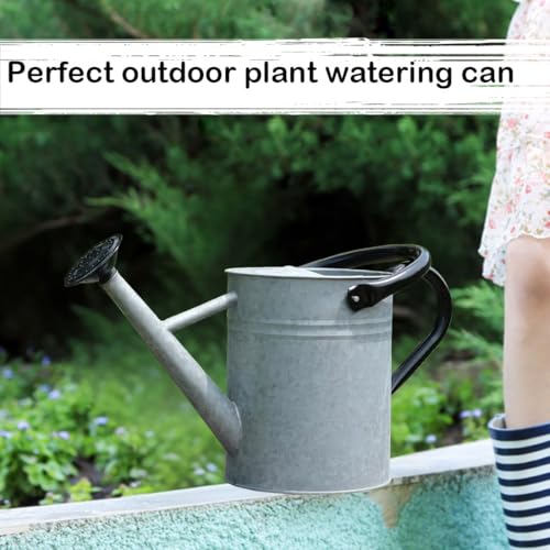 Metal Watering Can 1 Gallon for Indoor and Outdoor Plants Silver Black - color: One Gallon Silver Black