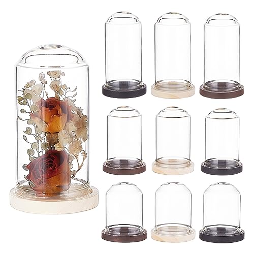 BENECREAT 15 Sets Mini Clear Glass Cloche Dome 1.5/2/2.3 Inch Glass Display Cloche Dome with 3 Colors Solid Wood Base Cloche Bell Jar for Flower Decorations Crafts