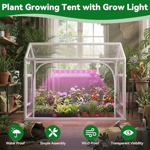 Mini Indoor Greenhouse with Grow Lights & Timer 3 Light Color Mode