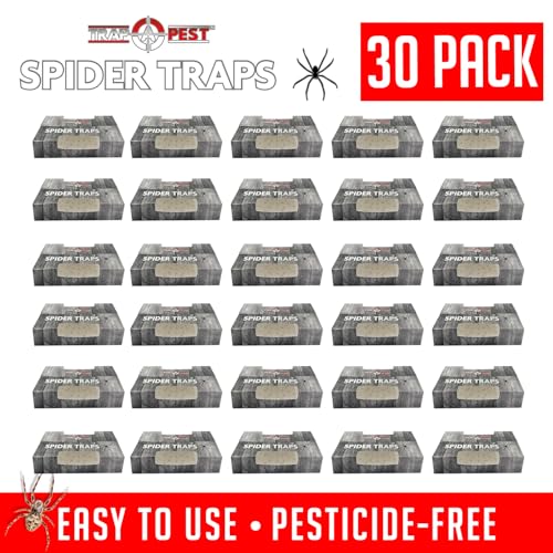Trap a Pest Indoor Sticky Spider Traps - Glue Traps - 30 Pack - size: 30 Pack
