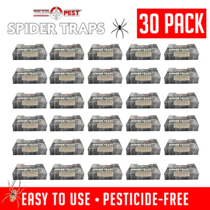 Trap a Pest Indoor Sticky Spider Traps - Glue Traps - 30 Pack - size: 30 Pack