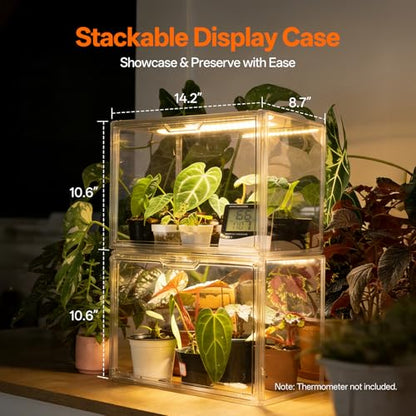 Bstrip Small Tabletop Greenhouse with Grow Light, Indoor Seed Starter Kit