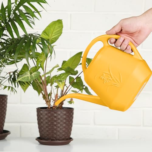 Watering Can - for Home Plant Garden - 1 Gallon - Orange - color: Orange