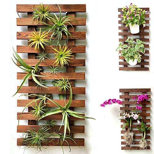 ShopLaLa Wall Planter - Wooden Hanging Planter for Indoor Plants, Plant Stand, Air Plant Succulent Holder, Vertical Garden. Large Wall Decor for Living Room, Room Decor for Teens, 60cm (23.6") - size: 60cm (23.6")