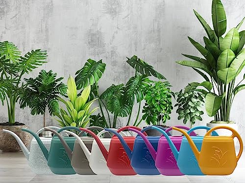 Plant Watering Can - Plastic for Indoor and Outdoor Home Plant - 1/2 Gallon - Rose Red - color: Rose Red