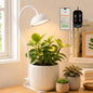 GLOWRIUM Smart Grow Lights for Indoor Plants,Full Spectrum Desk Plant Light - color: White
