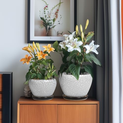 Ceramic Plant Pots, 10+8+6 Inch Flower Pot Indoor, White-Black - color: White-black